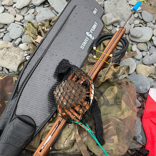 Intro to Spearfishing & Foraging