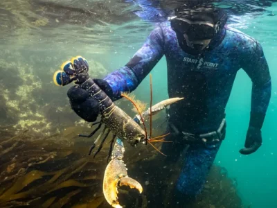 foraging for lobsters course